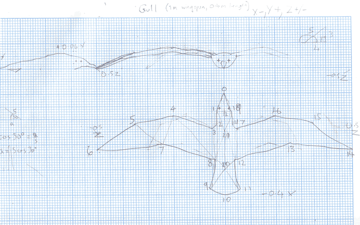 Sketches of a schematic seagull on graph paper.